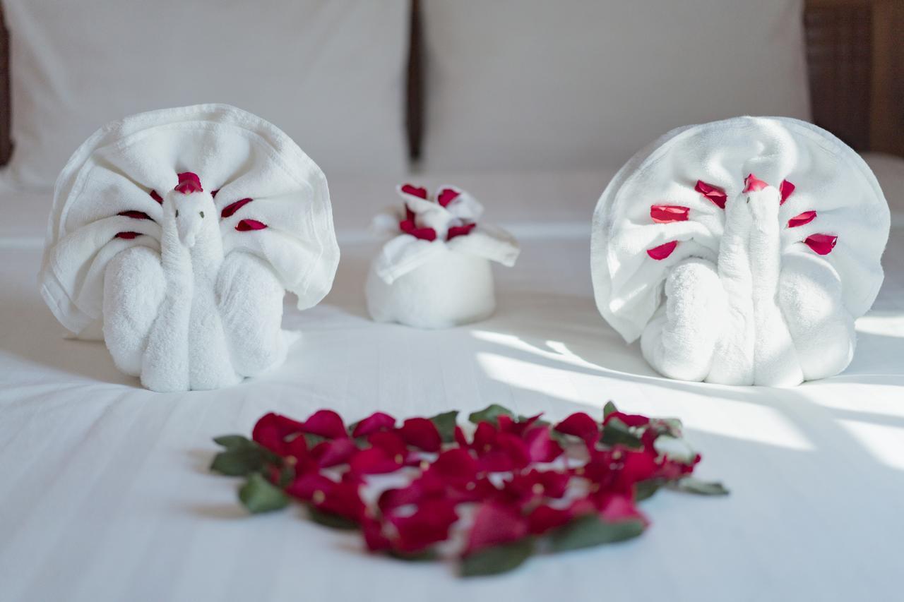 Tri Tran Homestay Hội An Kültér fotó